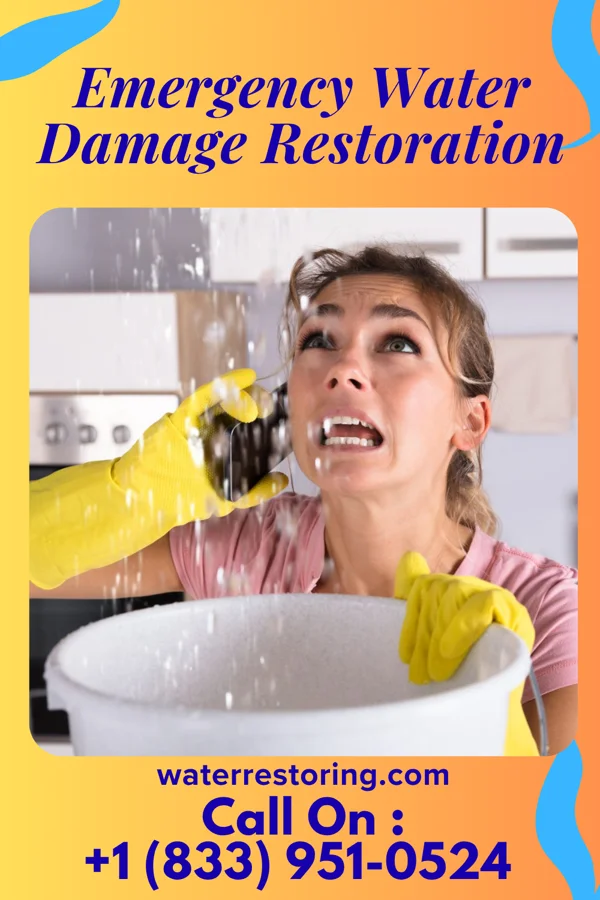 Emergency Water Damage Restoration in Vinton, TX