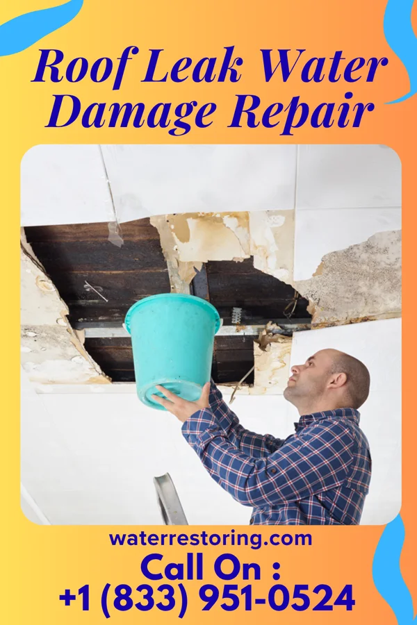 Roof Leak Water Damage Repair in Vinton, TX